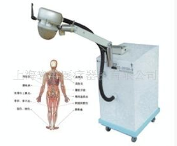 冲击波骨科治疗仪 治疗仪